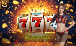 Đá gà đổi thưởng uy tín tại Na99