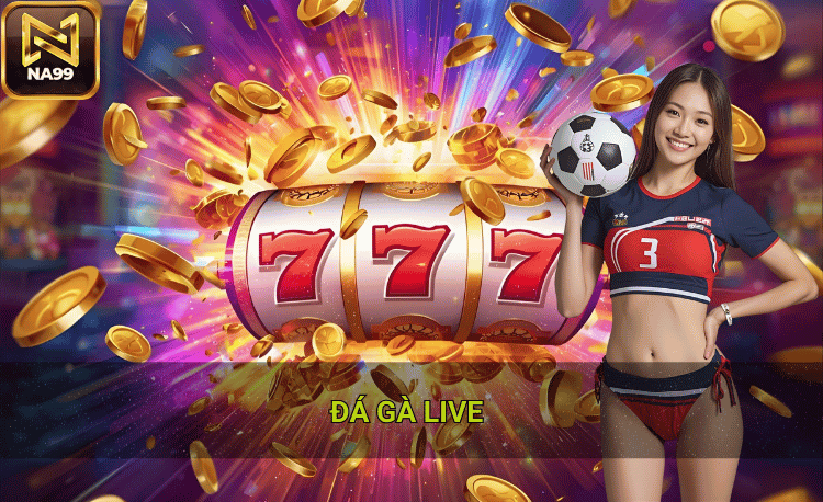 Đá gà live tại Na99