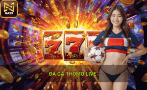 Kinh nghiệm chơi đá gà Thomo live hiệu quả