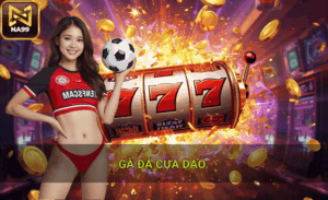 Luật chơi gà đá cựa dao