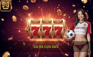 Mẹo chọn gà đá cựa sắt