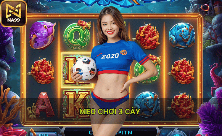 Mẹo chọi 3 cây chiến thắng cho người mới bắt đầu 2 Mẹo chọi 3 cây và cách tính điểm