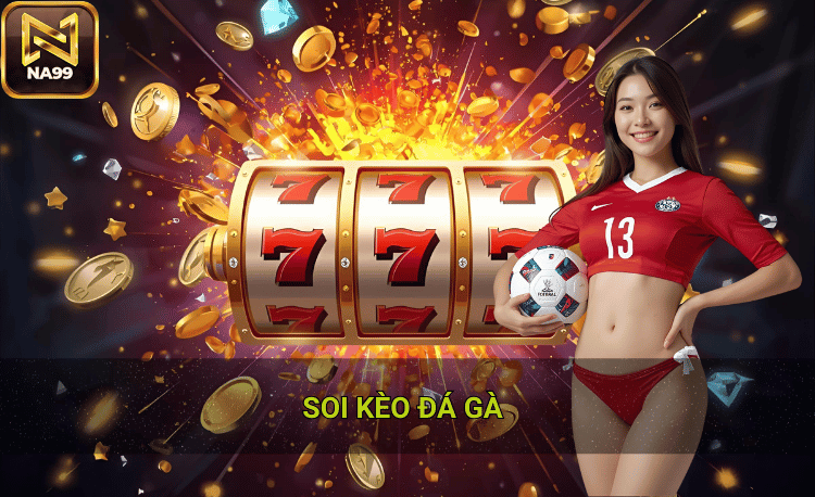 Soi kèo đá gà nhanh