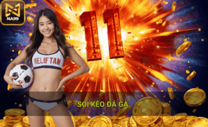 Soi kèo đá gà tại Na99
