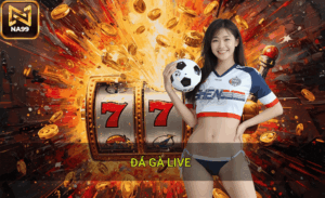 Ưu điểm đá gà live