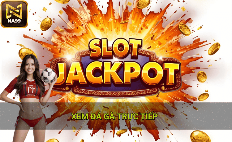 Top 3 nền tảng xem đá gà trực tiếp full HD 2026 2 Xem đá gà trực tiếp hôm nay